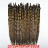 Accessoires en gros 1075 cm 430 "Plumes de queue de faisan à collier naturel pour l'artisanat décorations de mariage plumes de faisan plumes de carnaval