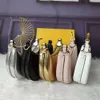 5A مصمم حقيبة Classic Womens Bag Br Hbag رسائل الأزياء متعددة اللون