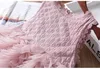 2018 New Babhighers Lace Dress Fashion Childrenseeveless Vest Princess Dresses Summer Kids Gauze Tutu Boutique Clothing2色ZZ