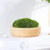 Vases Natural Marble Stone Flower Pot Luxury Round Simulation Moss Flowerpot Home Desktop Planter Bowl El Decor