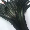 Tillbehör chengbright grossist nya 50st 3035 cm svart tupp svansfjädrar för dekoration hantverk fjäder christma diy fasan fjäder