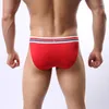 Underpants Howe Ray Mens Pouch Briefs Bulge Men Underwear Big Penis High Cut Thin Ice Silk Panties Breathable Sports Underpant Male Enhance