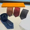 2024 Luxury Men's Fashion Tie Designer Ties Brand Business Neck Ties Casual Wedding Slips Retro Party Casual Silk Ties With Box V18