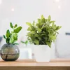 Fiori decorativi 4 pezzi di piante artificiali in vaso, decorazioni per la casa leggera, per piante finte domestiche, decorazioni per interni, scrivania