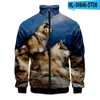 Djur söta hund husky 3d stativ krage hoodie män kvinnor blixtlås hoodies jackor lg hylsa 3d tröjor toppar droppfartyg e6sw#