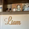 Miniatures Personalized Wooden Name Signs,Custom Children Name Wall Decor Color Wooden Letters, Wall Wooden Names