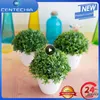 Decorative Flowers Artificial Plants Potted Green Bonsai Small Tree Grass Pot Ornament Fake For Home Garden Decoration Wedding Party