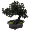 Decorative Flowers Artificial Plants Indoor Bonsai Pine Tree Mini Desk Fake Decorations Cute Office