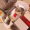 Costumes de chat, ensemble de chapeaux de Chef en Polyester, accessoires pour animaux de compagnie de haute qualité, accessoires de Cosplay, robe de Transformation de chien