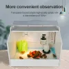 Accessoires Broedincubator voor kuikens Kwartel Verwarming voor huisdieren Uitbroedcontainer Pluimveebedrijf Uitbroedapparatuur Incubatiebox voor kleine huisdieren