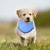 Vêtements pour chiens Refroidissement Bandana Auto-instantané Foulard Collier Serviettes pour petit moyen grand (taille bleue)