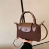 Omuz Çantası Marka Kadınlar Sonbahar ve Kış Yeni Çantalar Işık Lüks Çantası Şık çok yönlü crossbody Küçük Popüler Kadınlar