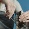 Abbigliamento per cani 5 pezzi Forbici Coda per unghie Parti per lo styling dei capelli Utile poggiadito per animali domestici Parrucchiere rimovibile Tang decorativo