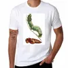 Sphinx Moth och Pupa T-shirt vanlig sublim svett T-skjortor för män Cott Y8XN#