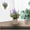 Decorative Flowers Degradable Potted Plant Wedding Decorations Artificial Lavender Bonsai Plastic Imitation