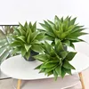 Decorative Flowers 1 Piece Of Simulated Agave Green Gold Edged Tiger Skin Orchid Plant