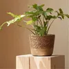 3PCSSET HandWoven Storage Baskets Straw Planter Flower Pots Garden Plant for Home Laundry Containers Decoration 240318