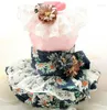 Hundebekleidung Original handgemachte Kleidung Heimtierbedarf Kleid Gänseblümchen 3D Blumen Spitzenrock Sommer Frühling Baumwolle Pudel Malteser Einteiler