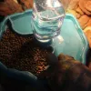 Tillförsel Reptilmatare Drinker Pet Food Dish Auto Pet Water Dispenser för Tortoise Snake