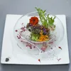 Assiettes Saladiers faits à la main Promotions Glace carbonique Conception artistique Bol en verre Délices moléculaires Vaisselle créative Cuisson Creuse