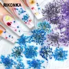 Decalcomanie 10 scatole mix di fiori secchi Colore 3D set di fiori di fiori secchi set per manicure giapponese unghie polacche incante