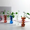 Vases Vase en verre décoration de la maison, conteneur de salon, Pots de plantes décoratifs, arrangement de fleurs hydroponiques, ornements
