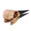 Sculptures Archaeopteryx Dinosaur Bird Head Skull Resin Crafts Fossil Skeleton Animal Skull Statues Model Halloween Gift Props Home Decor