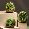 Vazen 1Pc Creatieve eivormige Glazen Flessen Hydrocultuur Vlezige Micro Landschap Terrarium Succulent Vaas Moss Home Decor