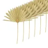 Voeden van 6 stuks grote gedroogde palmbladeren Natuurlijke gedroogde palmfans Gedroogde bloemboeket Bruiloft Decors Gedroogde waaierpalmbladeren