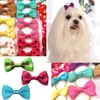 Собачья одежда для уход за штуками смешивает 30 Colours Cat Hair Small Pog аксессуары резиновые ленты для домашних животных поставщика