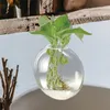 Vases Vase hydroponique Vase mural en verre Porte-plante de fleur clair pour décor centres de table pots plantes