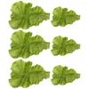 Decorative Flowers 6pcs Faux Lettuce Leaf Fake Vegetable Model Kitchen Artificial Food Plastic Leaves