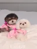 Cão vestuário coreano doce cor roupas para animais de estimação primavera rosa azul verde filhote de cachorro roupas bonito arco estilingue vestido de princesa para pequeno médio