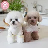 Abbigliamento per cani 2024 Autunno Inverno Home Cute Cat Costume Pet Teddy Clothes