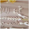 Sculptures squelette complet, collection de spécimens d'os d'animaux, accessoires de Bar, décoration personnalisée, matériaux de bricolage