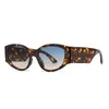 Sonnenbrille Mode Trendprodukt Cat Eye Frauen Retro Leopardenmuster Farbverlauf Breites Bein Brillengestell Sommer Tourismus Brille