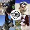 Abbigliamento per cani Occhiali protettivi Occhiali da sole per animali domestici Occhiali per cani di taglia media e grande Protezione decorativa Anti-UV Antivento
