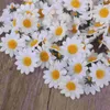 Fleurs décoratives 100 pcs Décoration de mariage 4cm fleur de marguerite petite chrysanthemum blanche demoiselle d'honneur marguerite artificielle