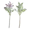 Dekoratif Çiçekler Yanlış Mor Yeşil Gümüş Yaprak Chrysanthemum Ev Bahçesi Yapay Bitkiler Bonsai Plumbago Auriculata