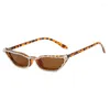 Zonnebril 2024 Cat Eye met klein frame voor dames, perfecte reis- en podiumshows, zonnebril