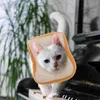 Köpek Giyim Koruma Yakası Şişirilebilir Kostüm Kıyafetleri Pamuk Pet Kedi Tost Boyun Konisi