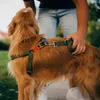 Coleiras de cachorro localizador colar capa protetora para rastreamento silicone rastreador titular caso gps localizador