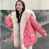 2023 Hiver Nouveau Imitati Fox Col De Fourrure Vers Le Bas Veste Rembourrée Femme Imitati Manteau De Fourrure Chaud Moyen Lg Lâche Femmes Pardessus 2868 v6c9 #