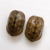 Miniatyrer 110 bitar av unika sköldpaddsskal taxidermi dekoration/samling (1012 cm)