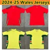 2024 25 Maillots de football du Pays de Galles BALE WILSON ALLEN RAMSEY Coupe de l'équipe nationale du monde Rodon Vokes Home Away Chemise de football à manches courtes Uniformes pour adultes Hommes Kit enfants