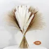 Fleurs décoratives Pampas séchés naturels Grass moelleux pour la décoration de chambre maison boho bouquet de table de chambre à coucher moderne occidentale décor