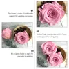 Decorative Flowers 12 Pcs/Box Preserved Flower Mini Artificial Rose Roses Bouquet Accessory Eternal Pink