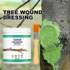 Film Tree Wound Pruning Sealer Tree Wound Healing Sealant Plant Grafting Pruning Sealer with Brush Bonsai Cut Wound Paste Tree Repair