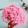 Dekorative Blumen Baby Atem leicht lang anhaltende natürliche gepresste getrocknete Gypsophila -Blumensträuße exquisit
