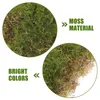 Decorative Flowers Artificial Simulated Moss Block Micro Scene Plants Indoor Terrarium Fake Plastic Realistic Turf